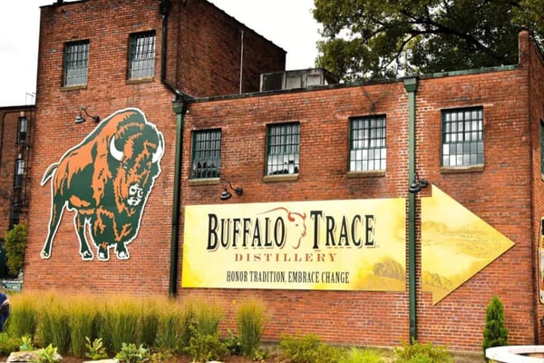 Our Favorite Things To Do In Frankfort 