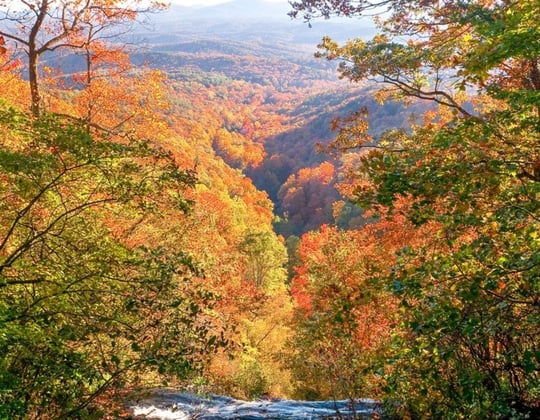 Marketing in the Peach State