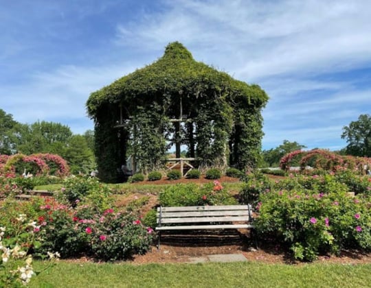 Marketing in Hartford, Connecticut