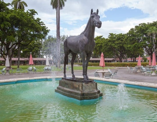 Marketing in Hialeah, Florida