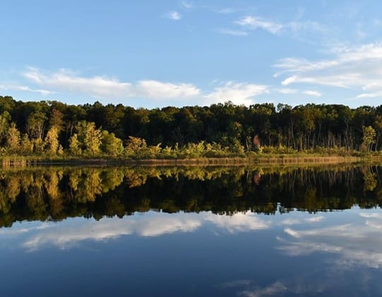 Marketing in the Hoosier State