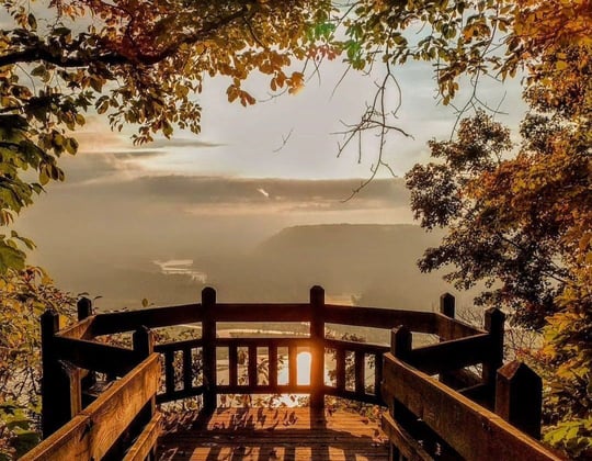 Marketing in the Hawkeye State