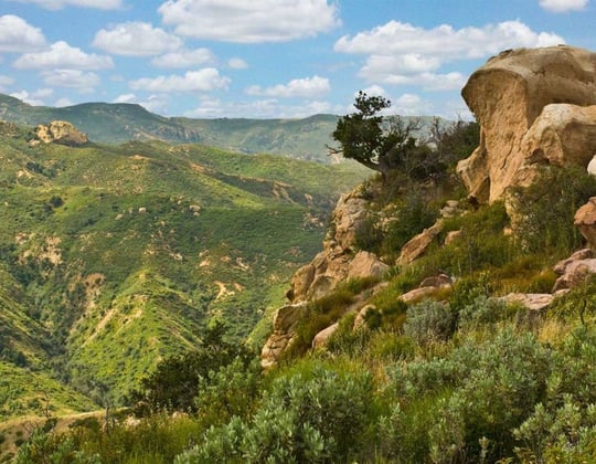 Marketing in Irvine, California