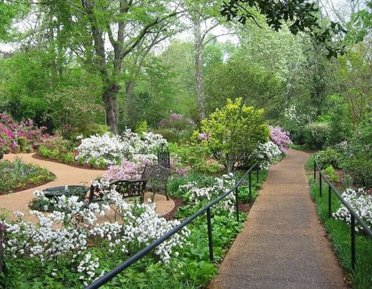 Marketing in Jackson, Mississippi