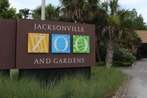 Our Favorite Things To Do In Jacksonville