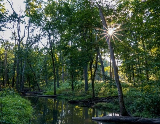 Marketing in Joliet, Illinois