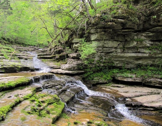 Marketing in the Bluegrass State