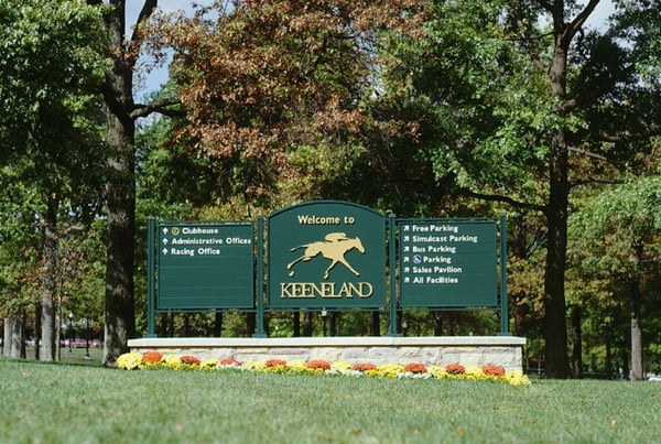 Our Favorite Things To Do In Lexington