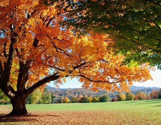 Marketing in Louisville, Kentucky