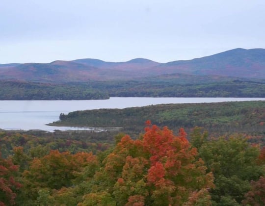 Marketing in the Pine Tree State