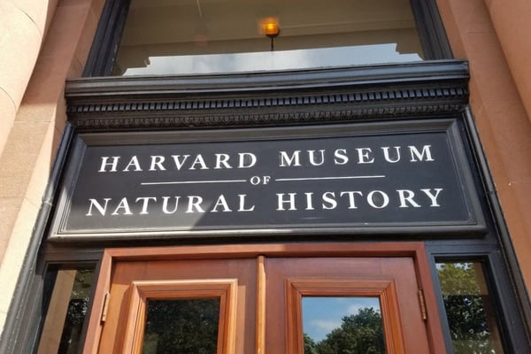 Our Favorite Things To Do In Massachusetts