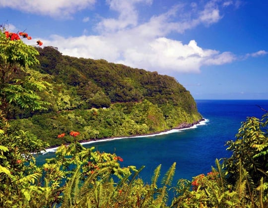 Marketing in Maui, Hawaii