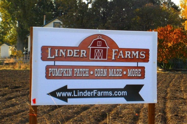 Our Favorite Things To Do In Meridian