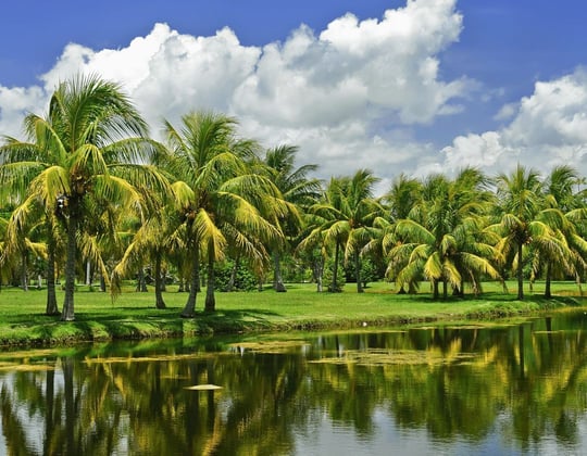 Marketing in Miami, Florida