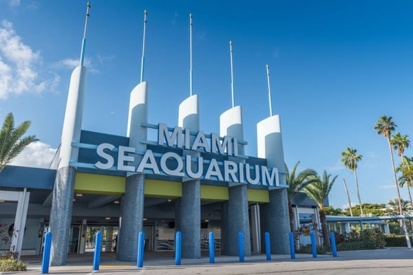 Our Favorite Things To Do In Miami