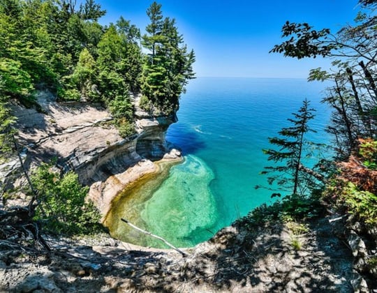 Marketing in the Wolverine State