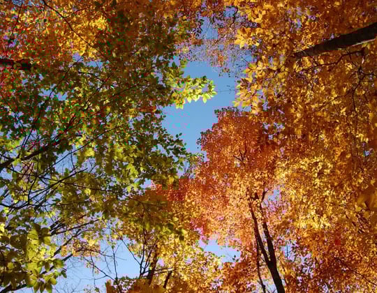 Marketing in the Land of 10,000 Lakes