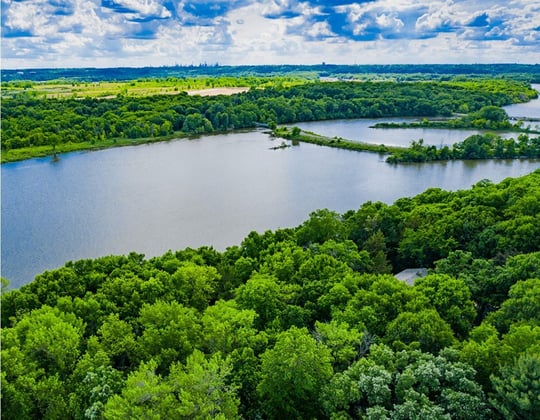 Marketing in the Magnolia State