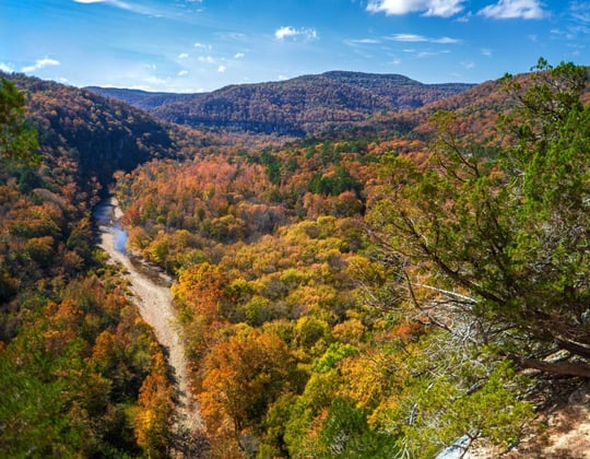 Marketing in the Show-Me State