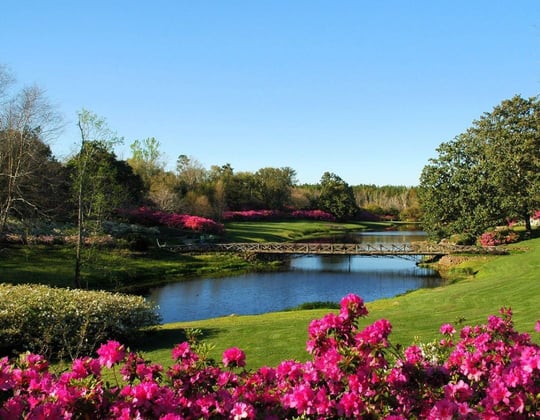 Marketing in Mobile, Alabama