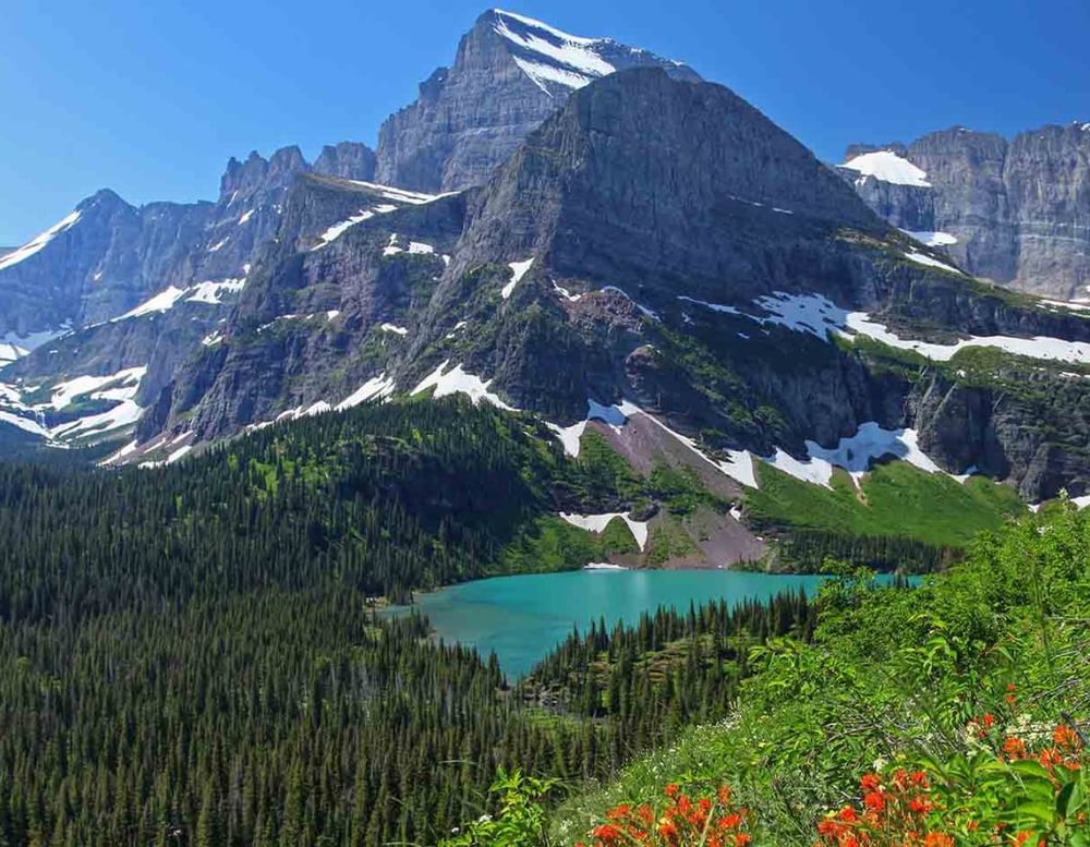 Montana Marketing Agency