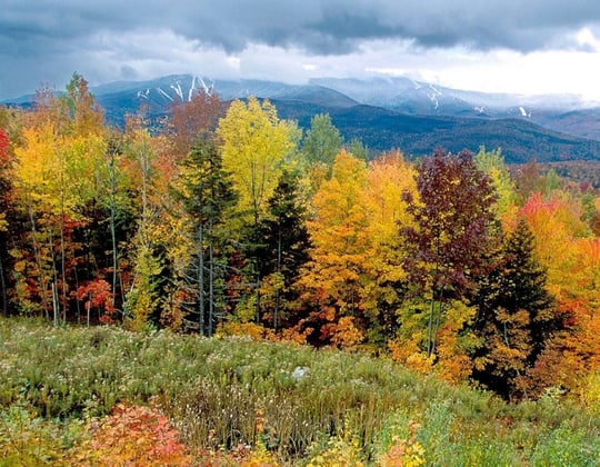 Marketing in Montpelier, Vermont