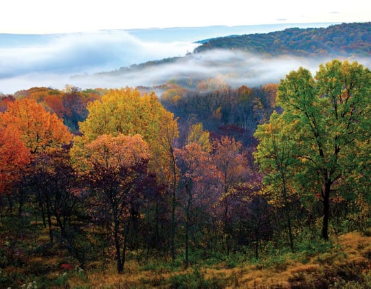 Marketing in the Cornhusker State