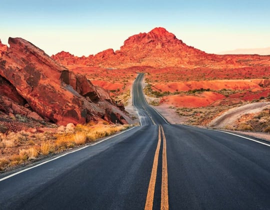 Marketing in the Silver State