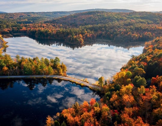 Marketing in the Granite State