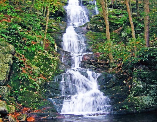 Marketing in the Garden State