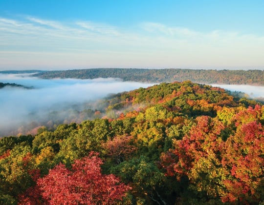 Marketing in the Buckeye State