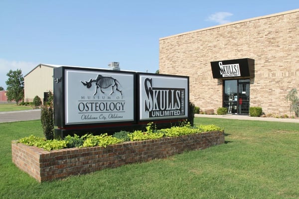 Our Favorite Things To Do In Oklahoma