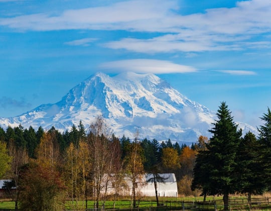 Marketing in Olympia, Washington