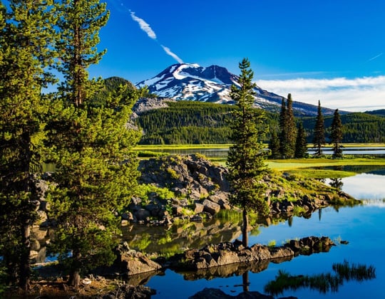 Marketing in the Beaver State