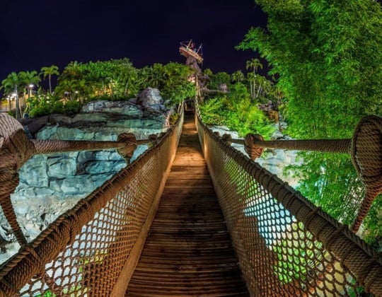 Marketing in St. Petersburg, Florida