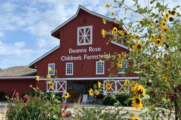 Our Favorite Things To Do In Overland Park