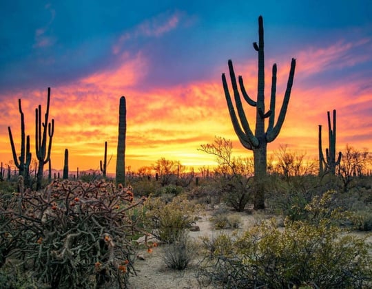 Marketing in Phoenix, Arizona