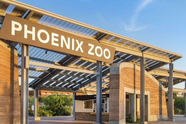 Our Favorite Things To Do In Phoenix