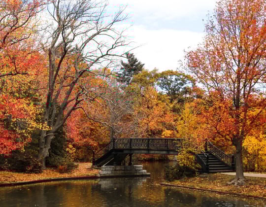 Marketing in Providence, Rhode Island