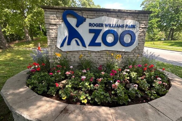 Our Favorite Things To Do In Providence 