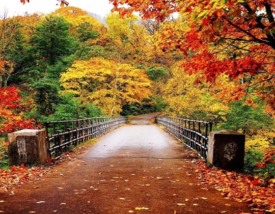 Marketing in Raleigh, North Carolina