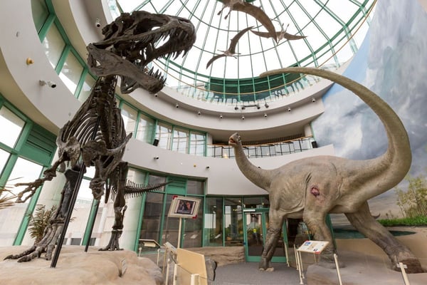 Our Favorite Things To Do In Raleigh