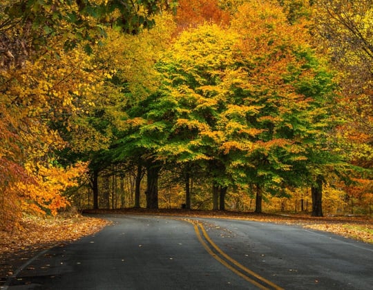 Marketing in the Ocean State