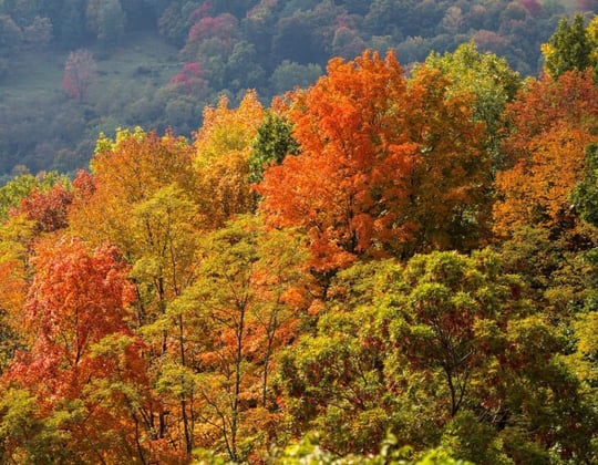 Marketing in Richmond, Virginia