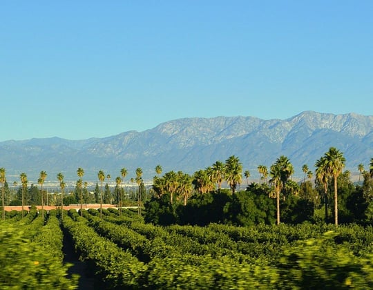 Marketing in Riverside, California