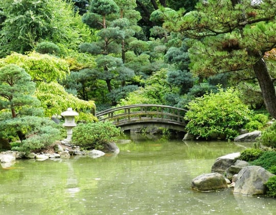 Marketing in Rockford, Illinois