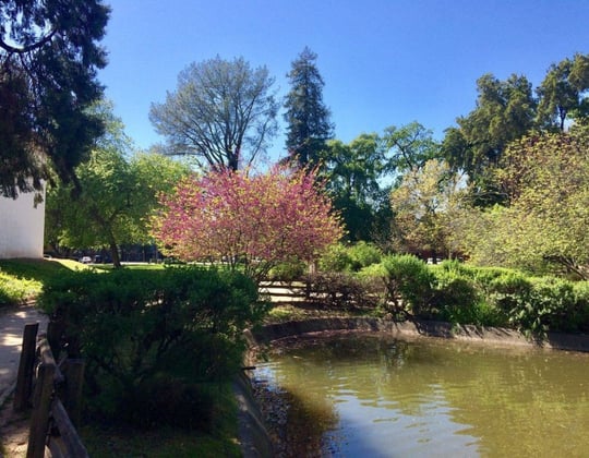 Marketing in Sacramento, California