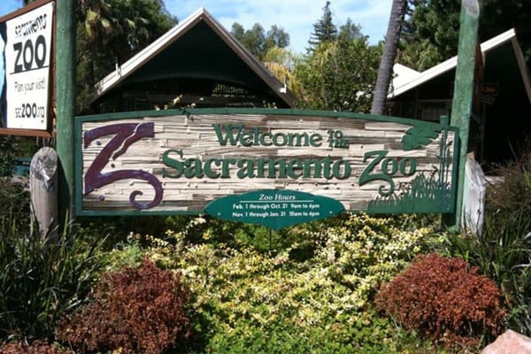 Our Favorite Things To Do In Sacramento