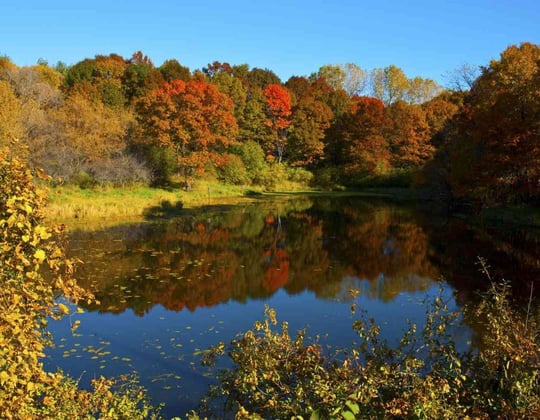 Marketing in Saint Paul, Minnesota