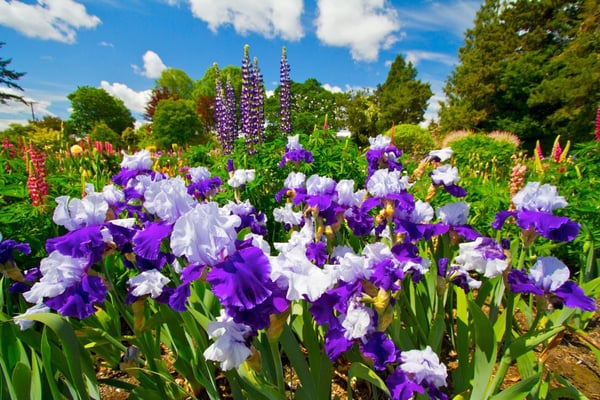 Our Favorite Things To Do In Salem